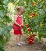 Rosiile in alimentatia copilului