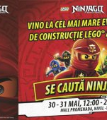 La mall Promenada, copiii se transforma in adevarati ninja, cu LEGO® Ninjago