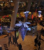 Vino de 1 decembrie la Baneasa Shopping City sa sarbatorim Ziua Nationala a Romaniei  si sa descoperi cele mai atractive oferte