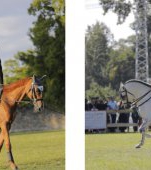 Karpatia Horse Show 2022: șapte premii pentru România, 15 mii de spectatori și o atmosferă chic!