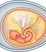 Sacul amniotic: tot ce trebuie sa stii