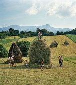 Imagini din Maramures au primit premiul 3 la cel mai prestigios concurs de fotografii din lume