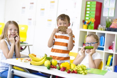 Proiect de introducere a unei noi discipline in scoli - educația nutrițională menită să combată obezitatea infantila