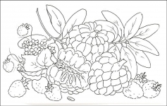 Desene De Colorat Fructe Qbebe Planse Si Imagini De Colorat