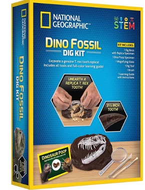 kit creativ pentru descoperirea dinozaurilor T- Rex