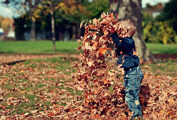 copil se joaca cu frunze