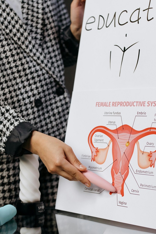 lectie sistemul reproducator la scoala