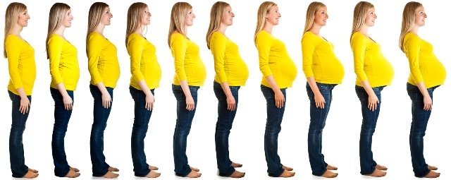 Femeie gravida-evolutie